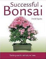 Successful Bonsai